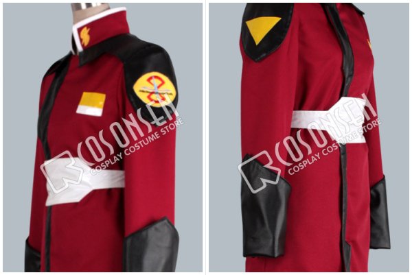 画像4: 機動戦士ガンダムSEED DESTINY ザフト赤軍服　コスプレ衣装