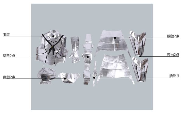 画像12: 【25%OFF】Fate/Grand Order FGO ベディヴィエール コスプレ衣装 最終再臨