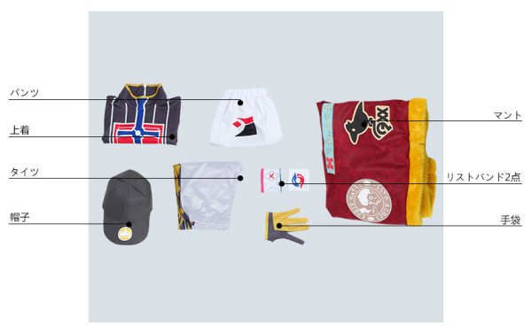 画像8: ポケモン ソード・シールド ポケモン剣盾 ダンデ コスプレ衣装