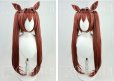 画像3: ウマ娘 プリティーダービー ダイワスカーレット コスプレウィッグ 耳付き (3)