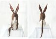 画像2: アークナイツ アーミヤ コスプレウィッグ 耳なし (2)