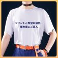 画像16: バーチャルYouTuber Vtuber 北見 新衣装 コスプレ衣装（Tシャツにプリント可能）