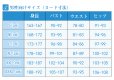 画像8: Fate/Grand Order FGO フォーリナー アビゲイル?ウィリアムズ コスプレ衣装 霊基再臨 第一段階