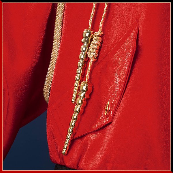 画像9: 【20％OFF】ツイステ風 [トリックキングジャケット] ケイト コスプレ衣装