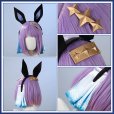 画像17: 【20％OFF】ウマ娘プリティーダービー デアリングタクト コスプレ衣装