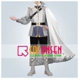 【20％OFF】ツイステ風 [夜明けの甲冑] シルバー コスプレ衣装