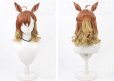 画像2: ウマ娘プリティーダービー ジャングルポケット 勝負服 コスプレウィッグ 耳付き (2)