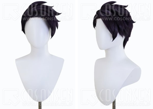 画像2: ポケモンZA　カラスバ　コスプレウィッグ