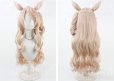 画像2: ウマ娘 プリティーダービー ヴィクトワールピサ 勝負服 コスプレウィッグ 耳なし (2)