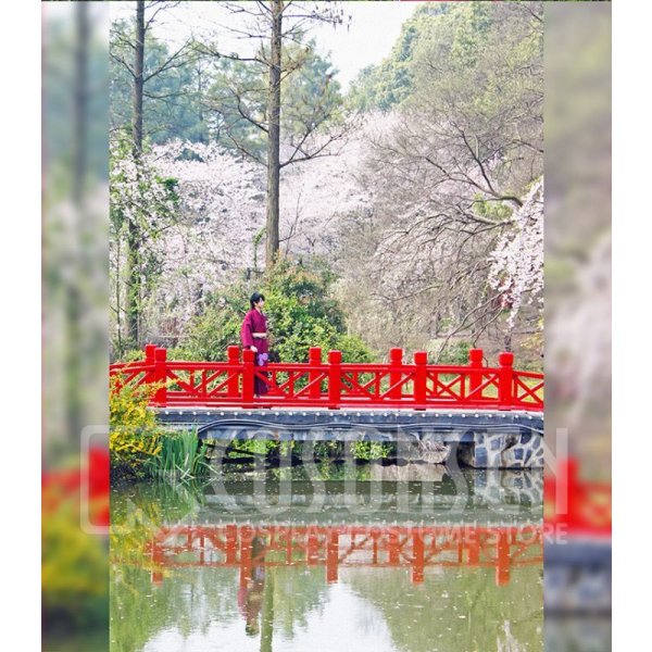 画像17: 【25%OFF】あんさんぶるスターズ あんスタ 打ち上げ!夜空の流星祭 影片みか コスプレ衣装 (17)