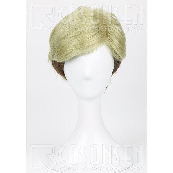 画像1: 進撃の巨人 エルヴィン・スミス コスプレウイッグ (1)
