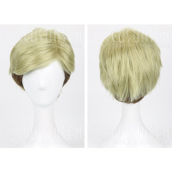 画像2: 進撃の巨人 エルヴィン・スミス コスプレウイッグ (2)