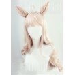 画像2: ウマ娘 プリティーダービー ビワハヤヒデ コスプレウィッグ 耳付き (2)