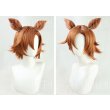 画像3: ウマ娘プリティーダービー テイエムオペラオー コスプレウイッグ 耳付き (3)