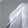 画像18: Fate/Grand Order FGO 女教皇ヨハンナ コスプレ衣装 霊基再臨 第3段階 (18)