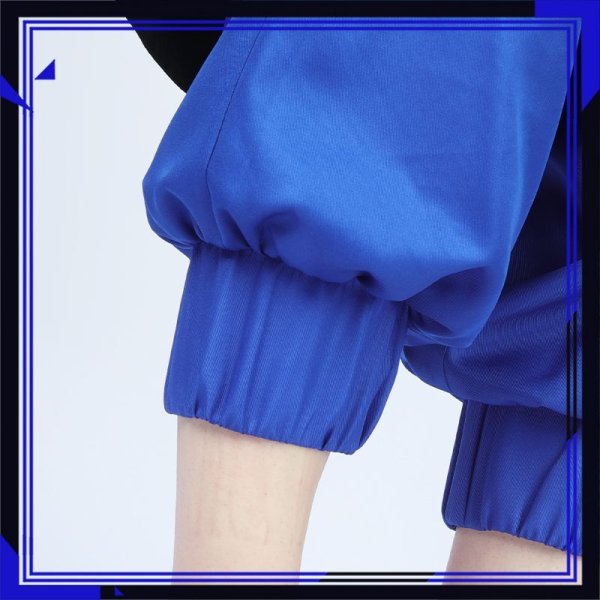 画像22: 【25％OFF】バーチャル YouTuber Vtuber 小柳 コスプレ衣装 (22)