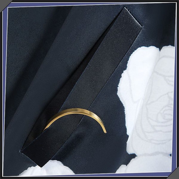 画像14: 【25％OFF】バーチャルYouTuber Vtuber Leos レオス 新衣装 コスプレ衣装 (14)