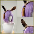画像21: ウマ娘プリティーダービー  アグネスタキオン Σ Experiment コスプレ衣装 (21)