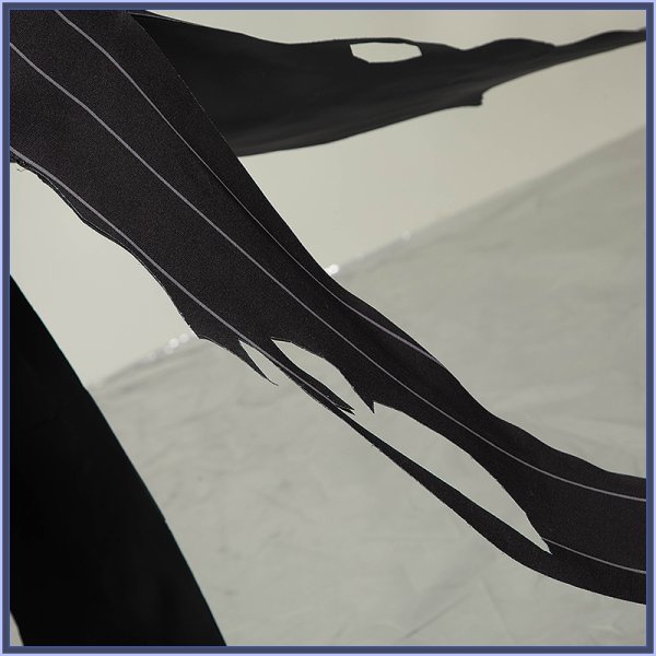 画像17: 【25％OFF】ツイステ風 「Lost in the Book〜始まりのハロウィーン〜」スカリー コスプレ衣装 (17)