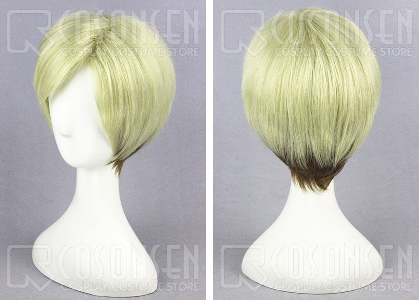 画像: 進撃の巨人 エルヴィン・スミス コスプレウイッグ